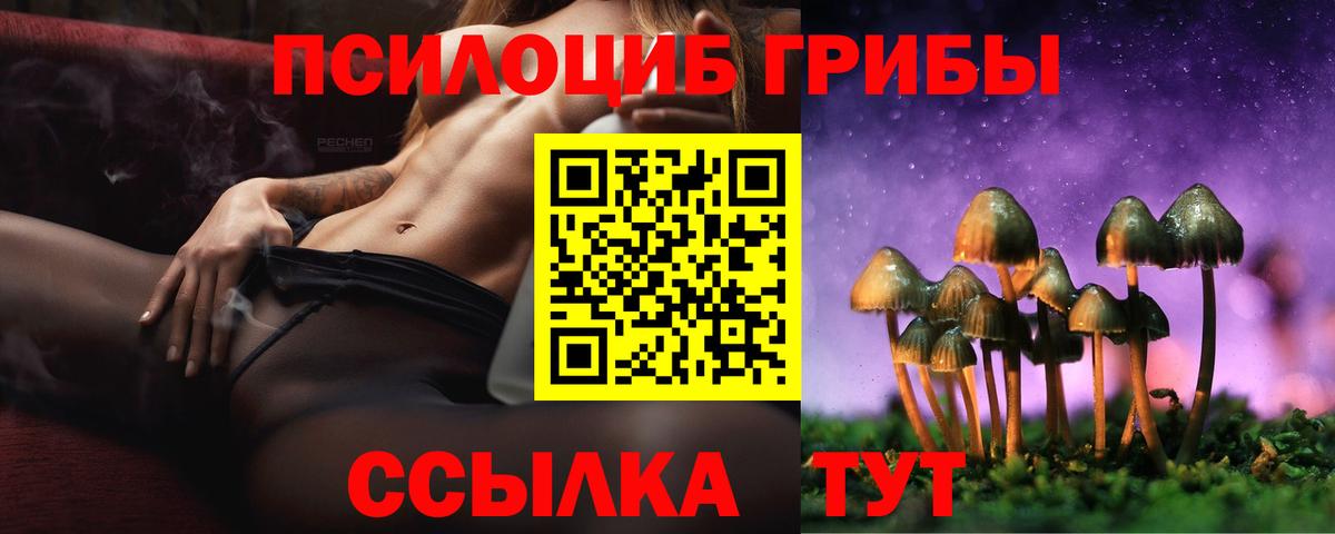 Галлюциногенные грибы Magic Shrooms Югорск